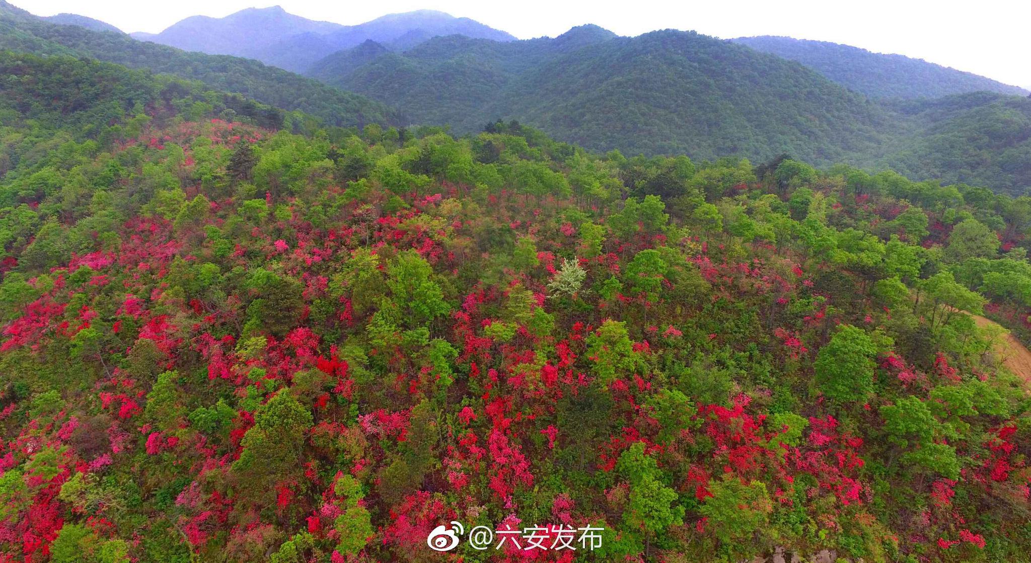 市环保局开展绿盾2018自然保护区督查工作