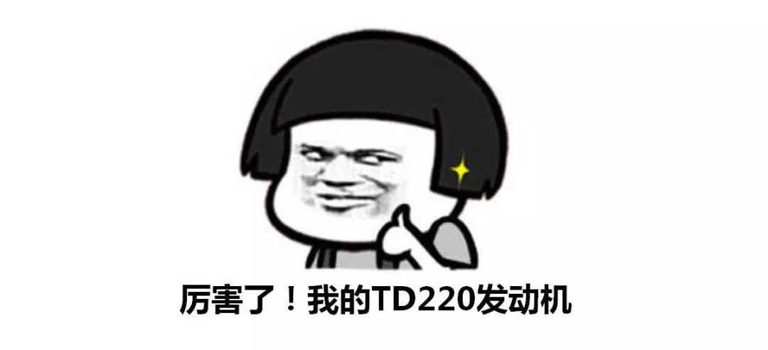 发动机中的战斗机，TD220不仅带T还带D