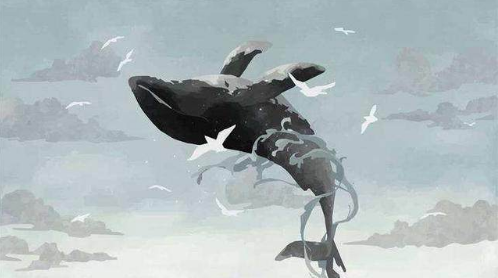 为什么金鱼死亡后会浮上水面,鲸鱼却不能?是因