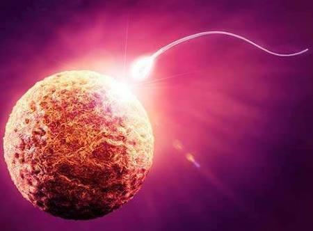 受精卵着床是什么感觉? 当出现这3种症状时, 那