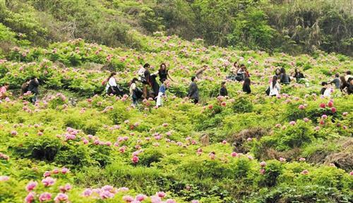 都说7座车第三排太挤？要买7座还得看这款车