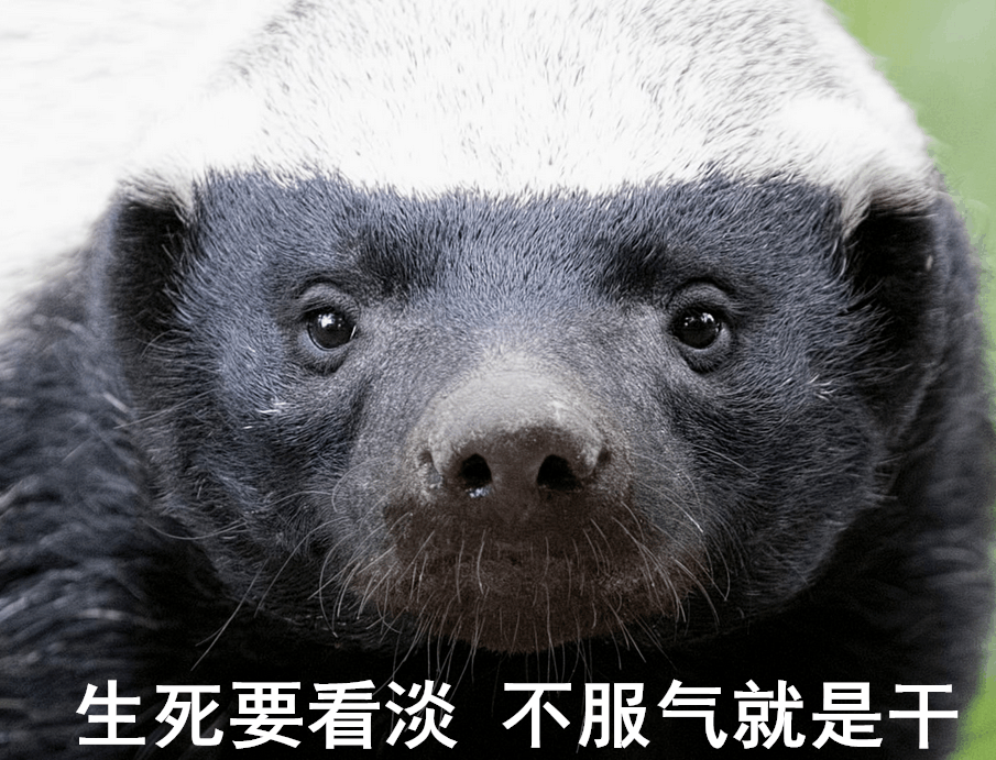 论“平头哥”如何把自己弄成濒危动物?