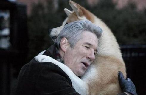 忠诚大于天, 那些忠诚狗狗的故事