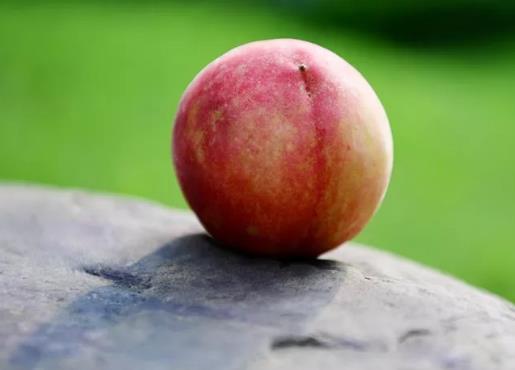 湖南浏阳大围之珠,果然不一样 图集