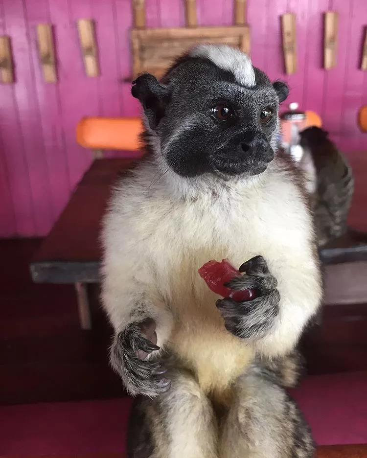 一绝美海岛对华放宽签证!持日、韩、新加坡多