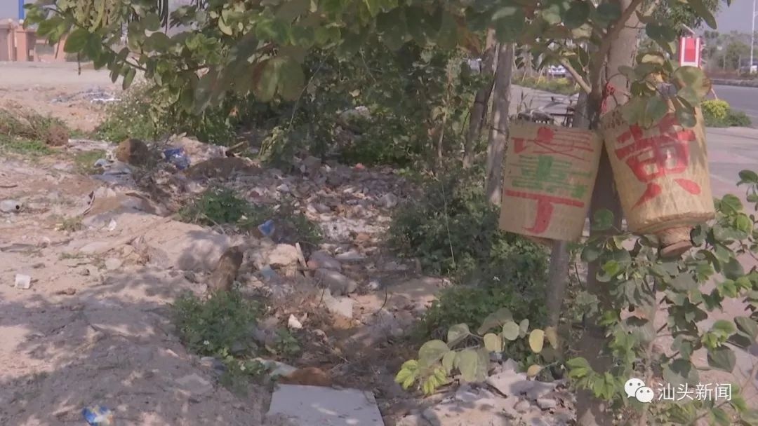 这4个区巩卫工作整改落实如何 | 市作风办开展