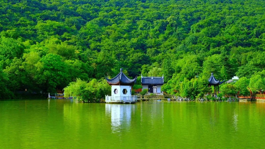 花海,庄园,灵山境,溶洞,药膳,太极幽,4天3晚探秘小城广德