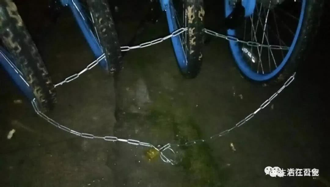 又有5辆共享单车被盗!右江警方一举抓获窃贼