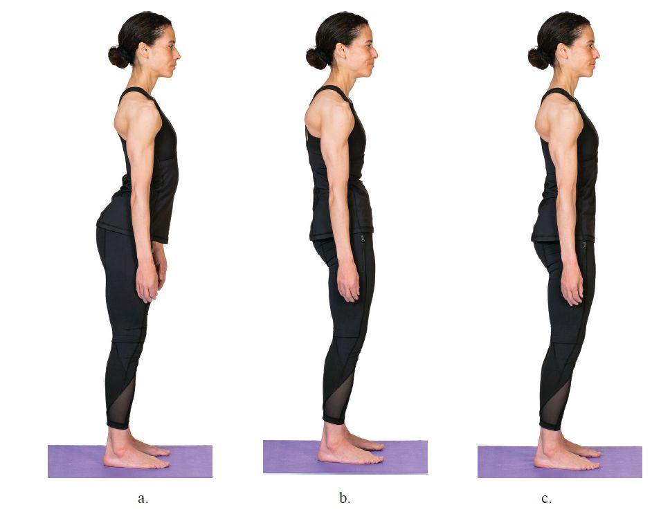 a. 前倾,b. 后倾,c. 中立