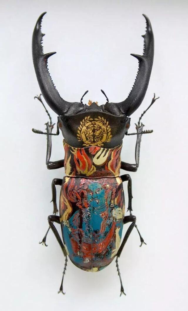 甲壳虫艺术。