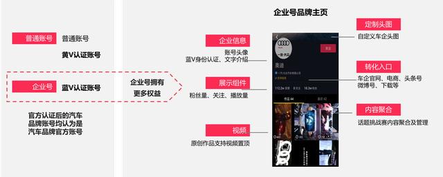 抖音出海二家龙头股值得收藏(抖音出海上市 抖音出海二家龙头股值得收藏(抖音出海上市