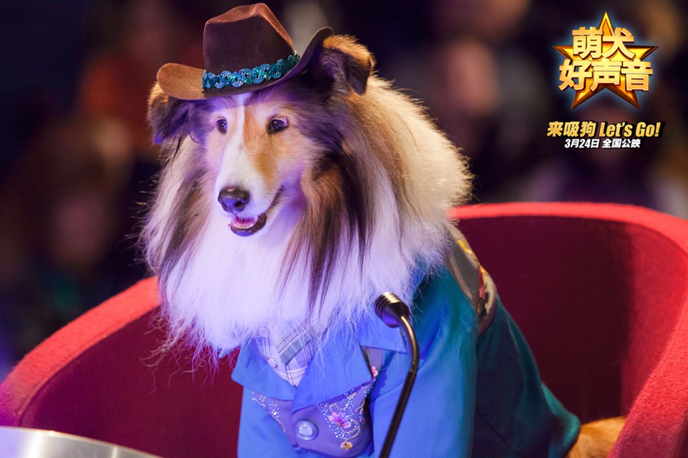 《萌犬好声音》推广曲MV温暖来袭 励志狗狗也