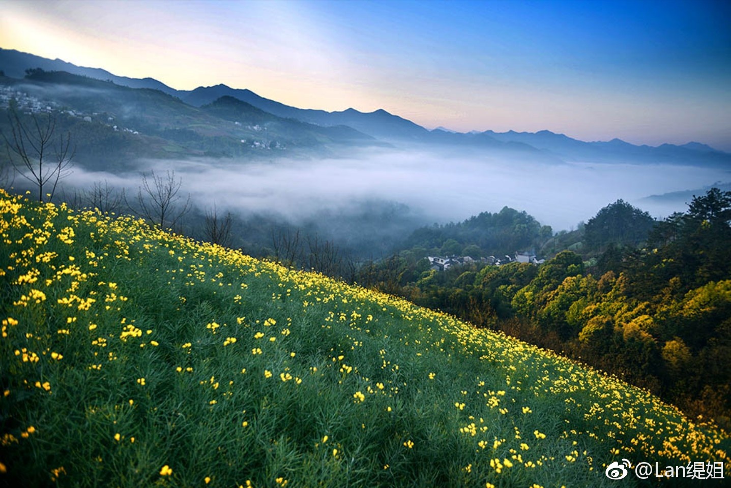 "一生痴绝梦,无梦到徽州.安徽歙县坡山村,以壮阔的云海云雾