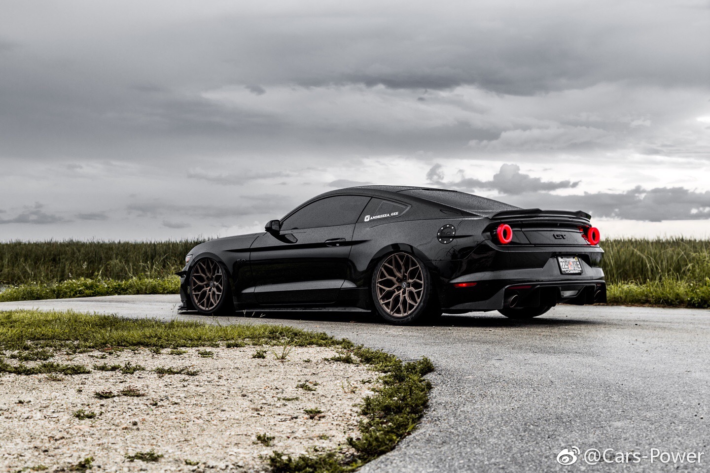 福特mustang野马图片,福特mustang野马 黑武士,福特-野马 gt