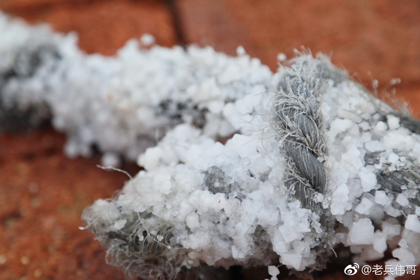 给这个夏天加点盐--零距离体验大连海盐世界