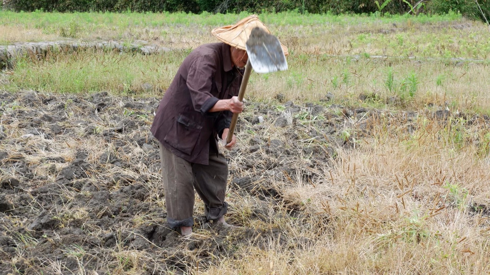 农村86岁老人干活比90后小伙麻利 这幅好身体是怎么练