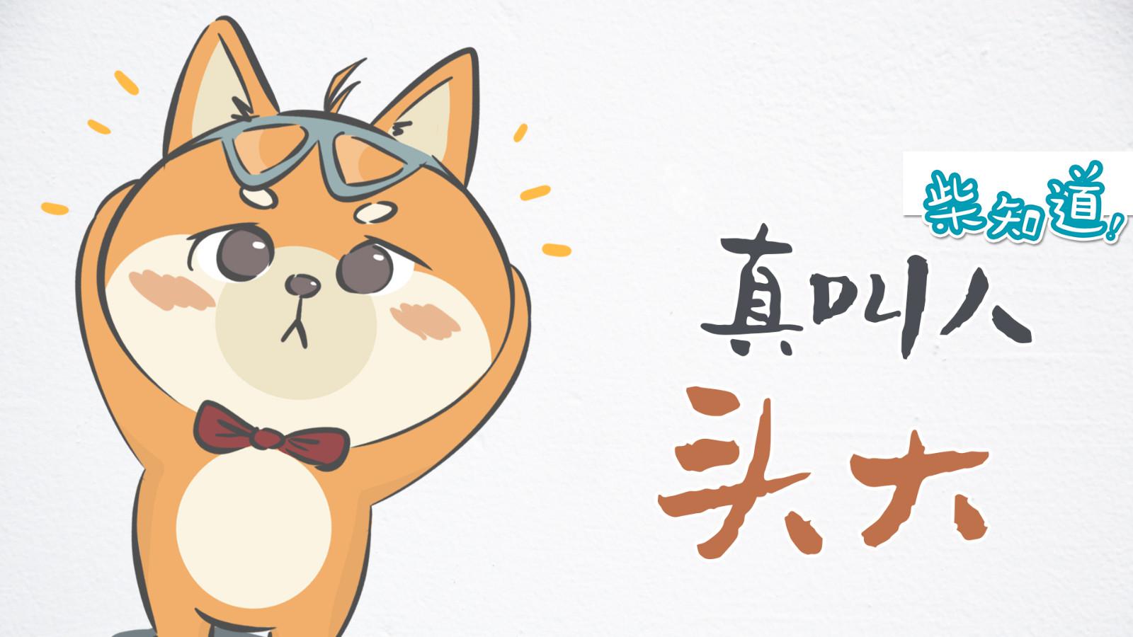 人类听不见超声波的原因居然是…因为头太大?