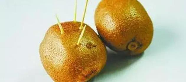 猕猴桃太生了没熟?教你猕猴桃的催熟小技巧