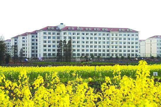 这所普通211工程高校,力压20所一流大学,分数