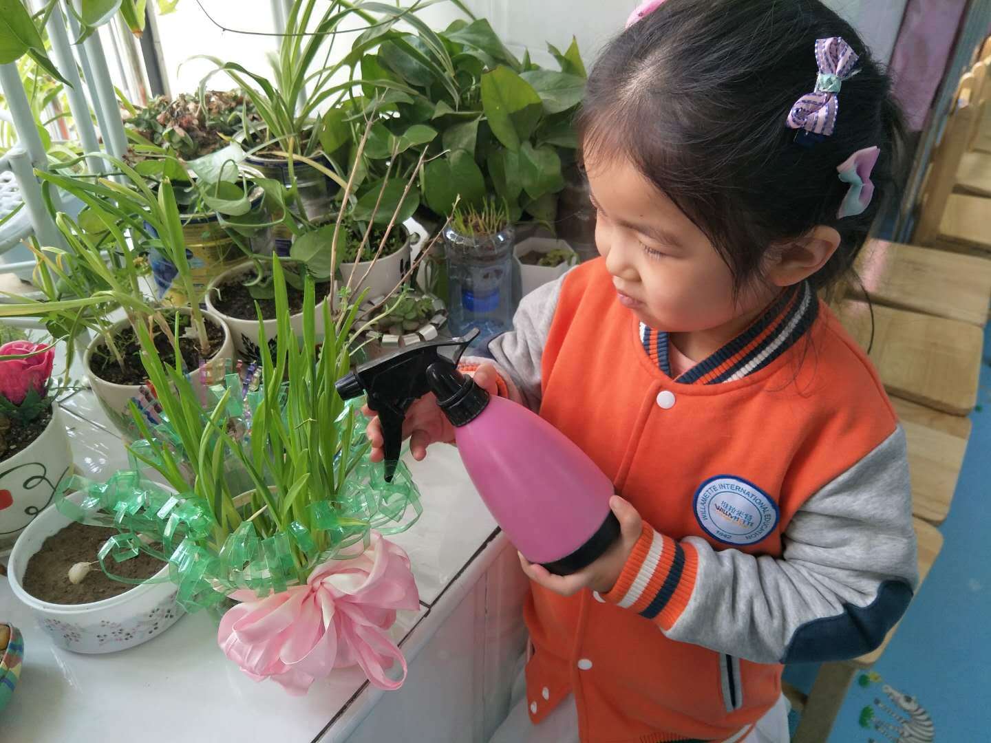 郑州市二七区侯寨乡中心幼儿园:小小植物角,大