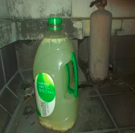 淘米水发酵自制的盆栽肥料有臭味?加点这3种