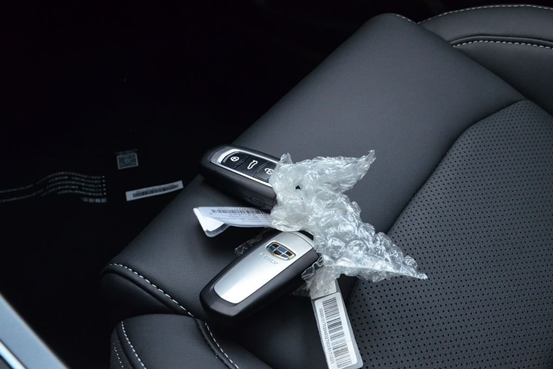 一键式防夹天窗是最爱 全新帝豪提车1000公里体验分享