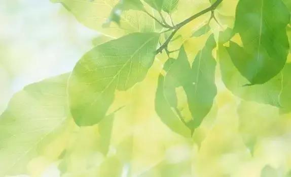 夏天是告别阳虚的最佳时间