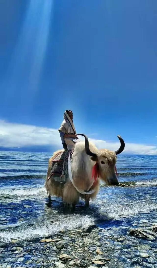 西藏旅行, 遇到高原反应怎么办, 你必须收藏