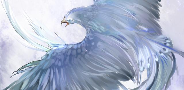 图南未可料,变化有鲲鹏