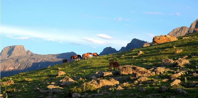 端午假期,成都周边1-3日游玩全攻略,这些景点8