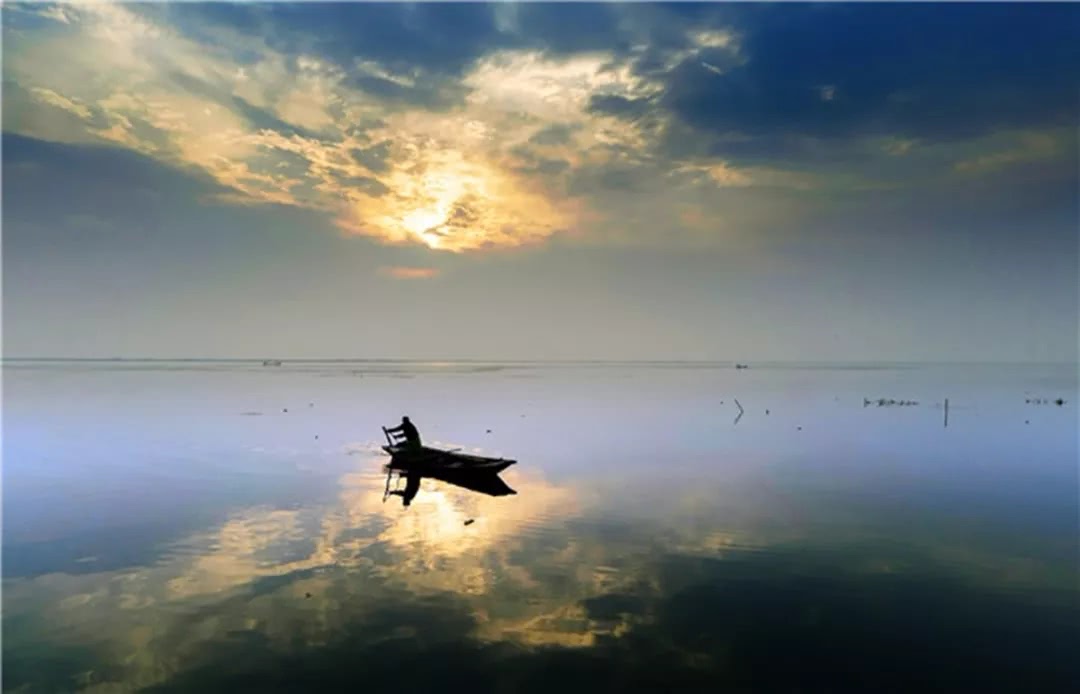 东钱湖的朋友圈:朝霞映晚，芦花香岸--苏州阳澄湖