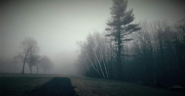 教书先生捡幼狼照顾, 幼狼长大不告而别, 突发一