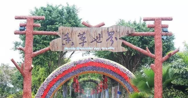 据说这是广州最值得去的20个景点, 你去过几个?