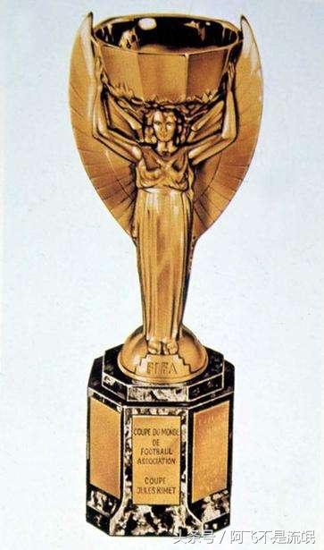 一图看懂历届世界杯冠军亚军季军殿军归属
