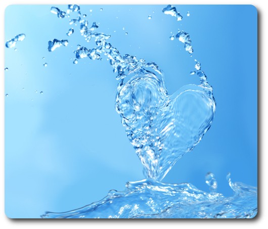 水象星座的相容性:巨蟹座、天蝎座和双鱼座想