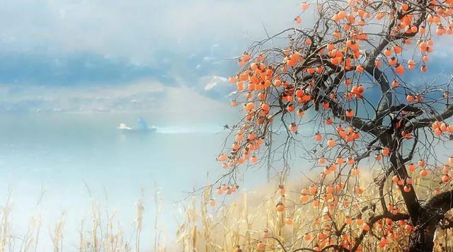 立冬:将渐入寒冬予时光温情,愿岁岁如初