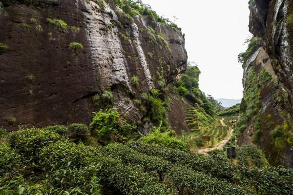 牛肉产地牛栏坑圈地运动:在这儿插广告牌,才能让自己财源滚滚!