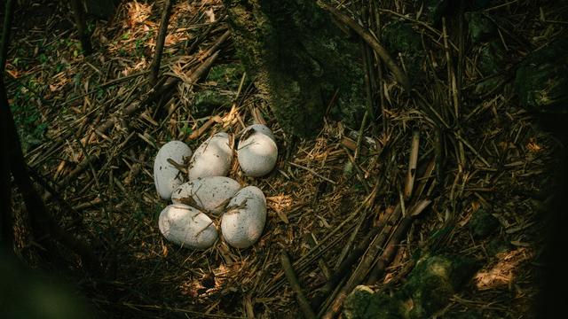 2018灾难片巨作来袭,迷雾中究竟还有什么?