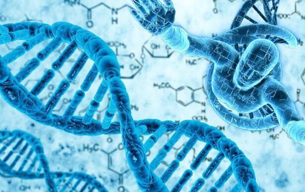 肠道内为什么会长息肉? 它的出现主要跟这几点