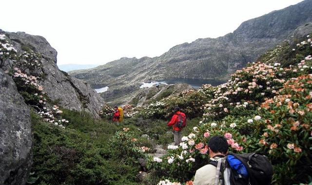 端午假期,成都周边1-3日游玩全攻略,这些景点8