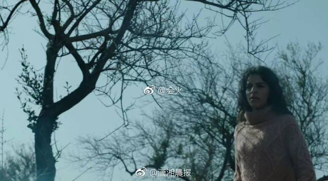 2018威尼斯电影节主竞赛单元获奖名单出炉