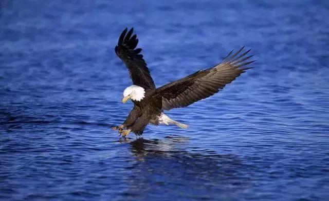 摄影技巧:快门速度,快门速度怎么调?