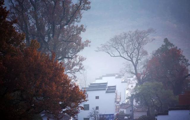 立冬:将渐入寒冬予时光温情,愿岁岁如初