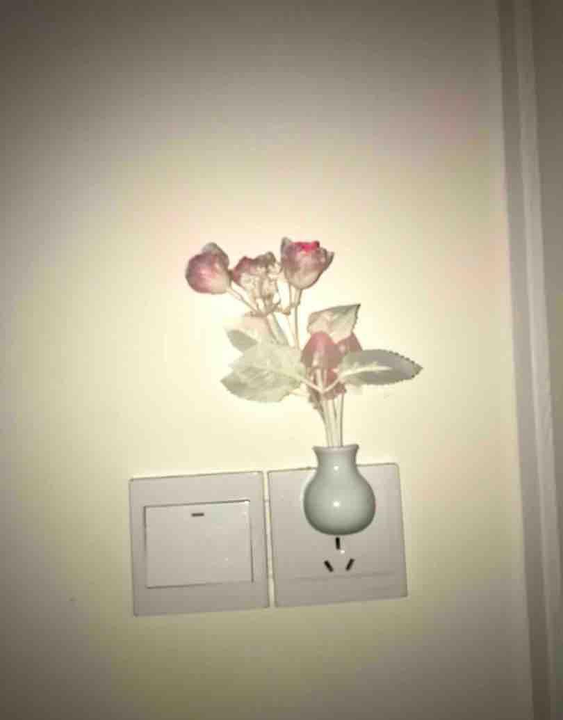 没想到开小夜灯睡觉的危害这么大, 你中招了吗