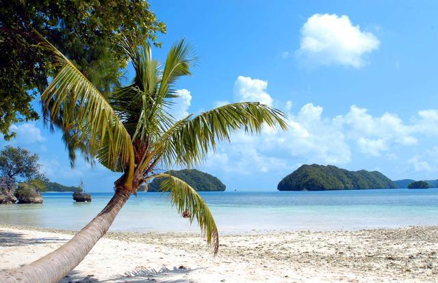 全球唯一将日语作为官方语言的国家: 国旗山寨