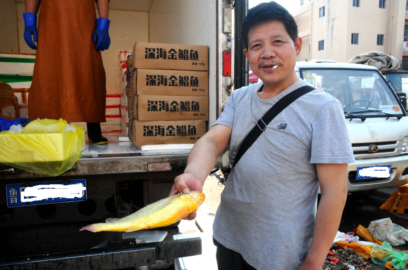 休渔期过半 早市大八带鮹28一斤 黄花鱼16元一