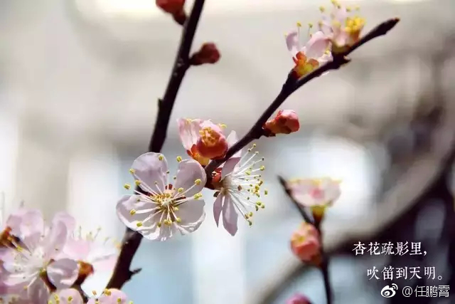 陈与义《临江仙》:古今多少事,渔唱起三更