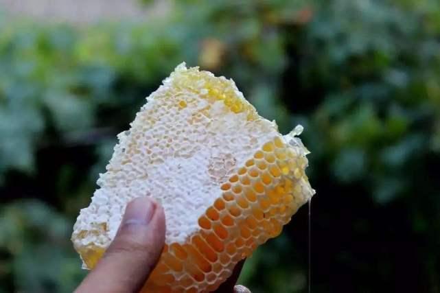 睡前喝“蜂蜜水”, 到底能不能减肥? 我一直乱喝, 难怪长胖了