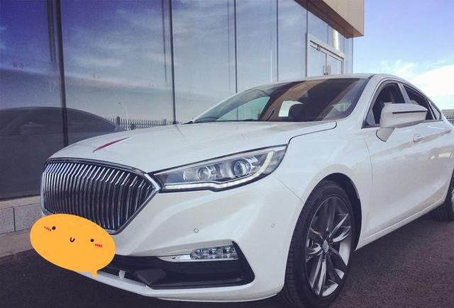 情定红旗H5 车友喜提H5轿车