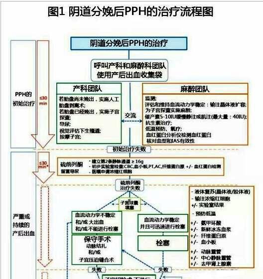 35岁产妇剖腹产后,突然全身发抖,掀开被子后,护